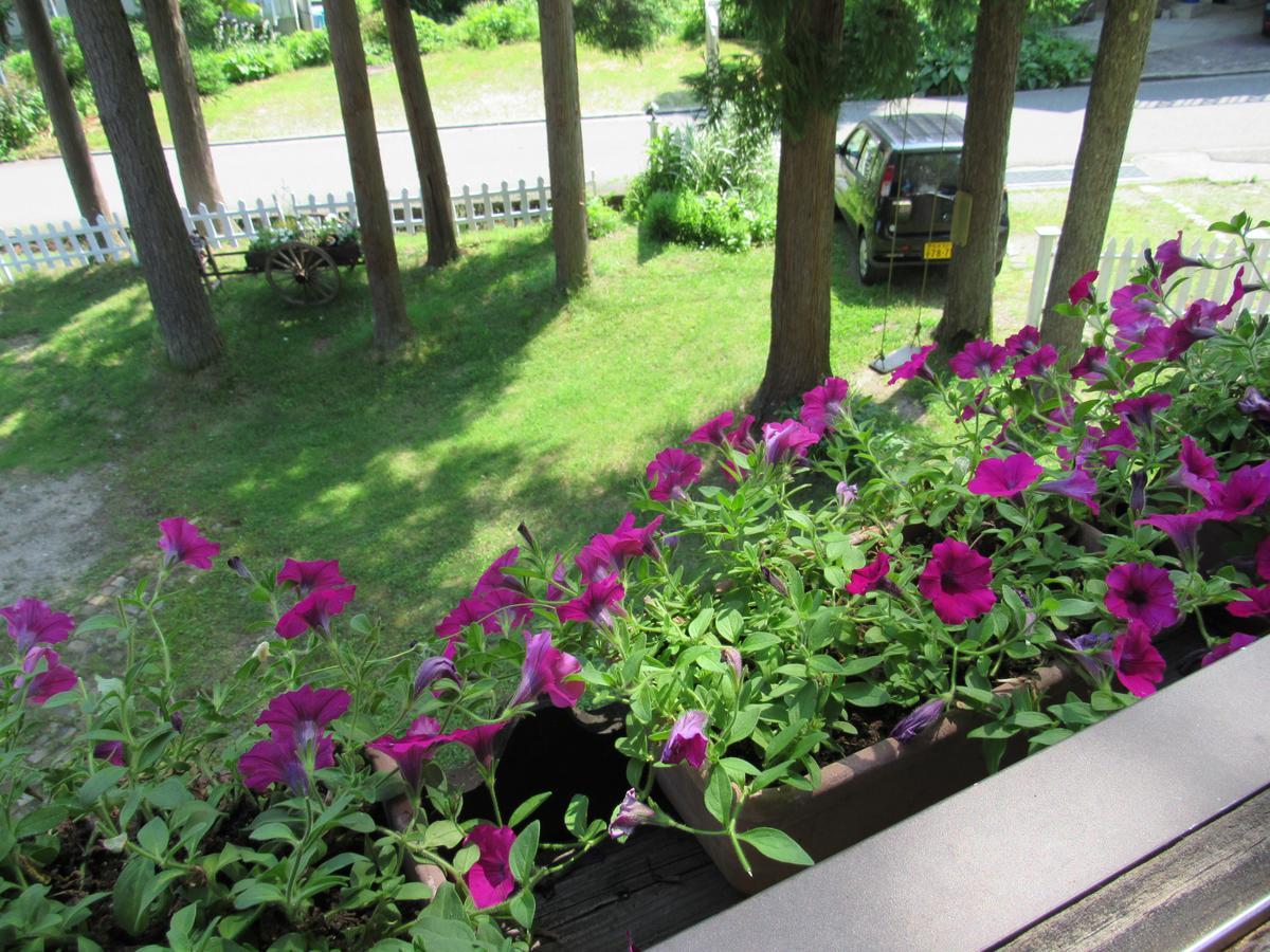 ペンション ちゃうちゃう Bed & Breakfast Hakuba Ngoại thất bức ảnh