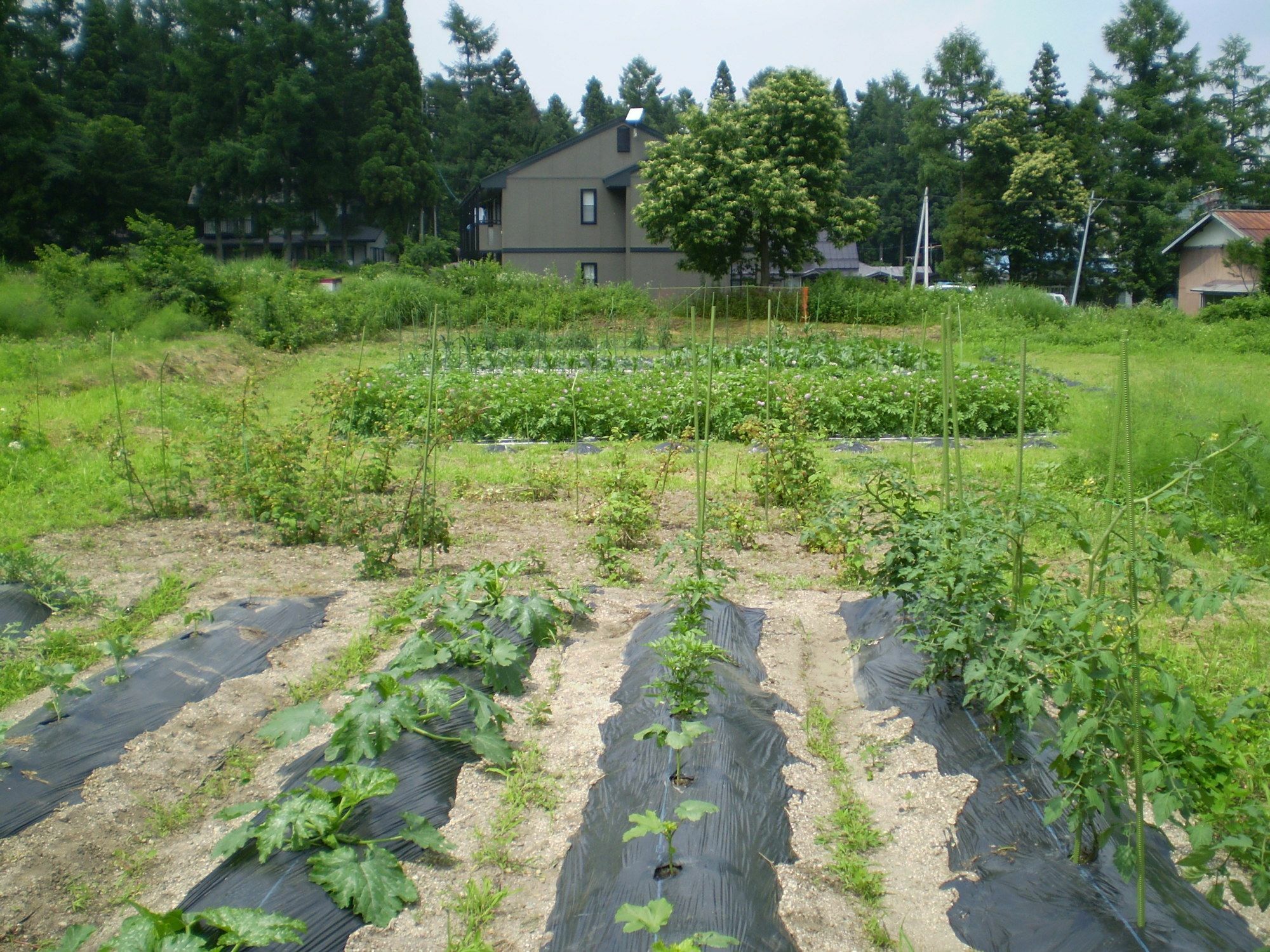 ペンション ちゃうちゃう Bed & Breakfast Hakuba Ngoại thất bức ảnh