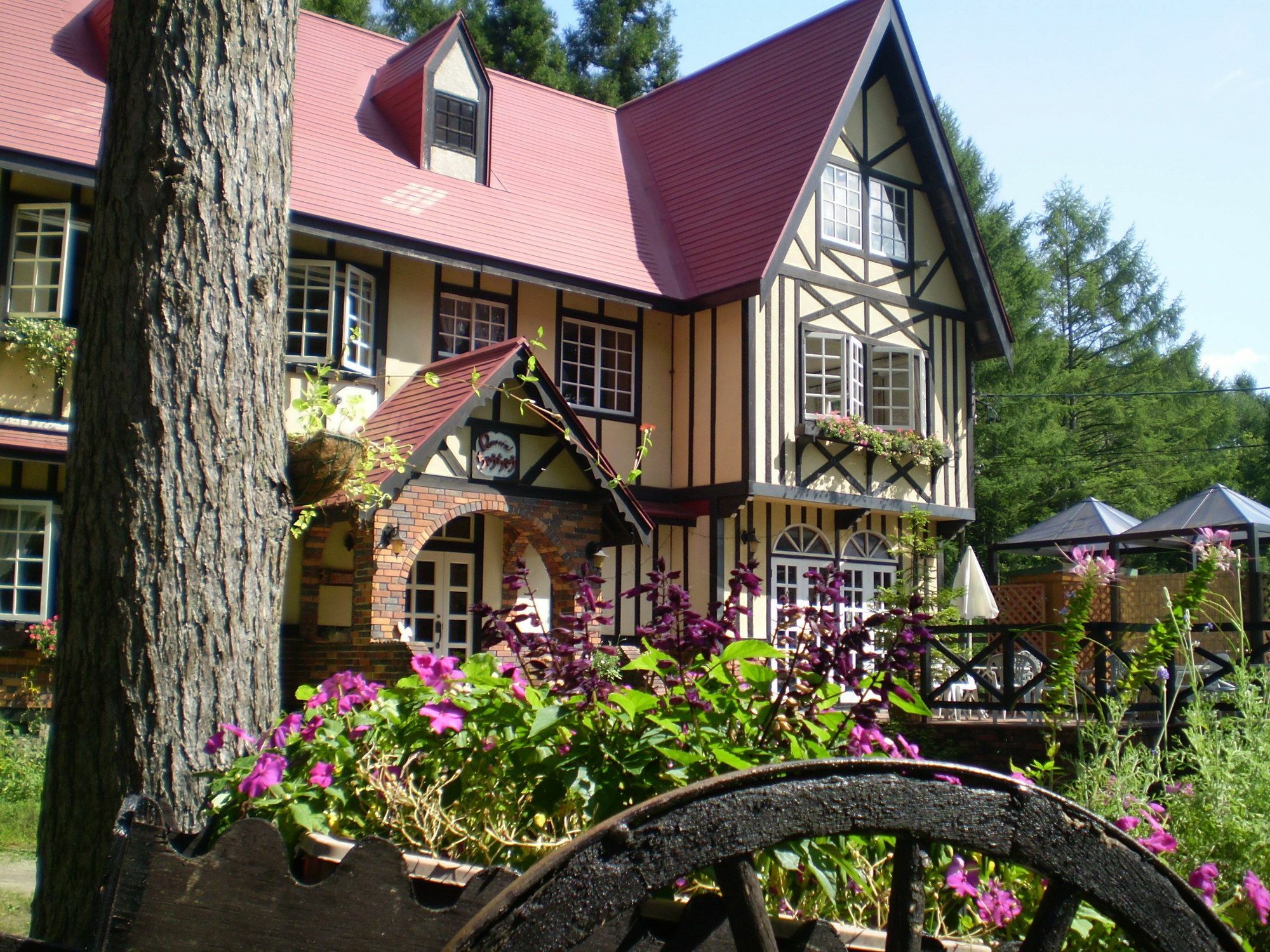 ペンション ちゃうちゃう Bed & Breakfast Hakuba Ngoại thất bức ảnh