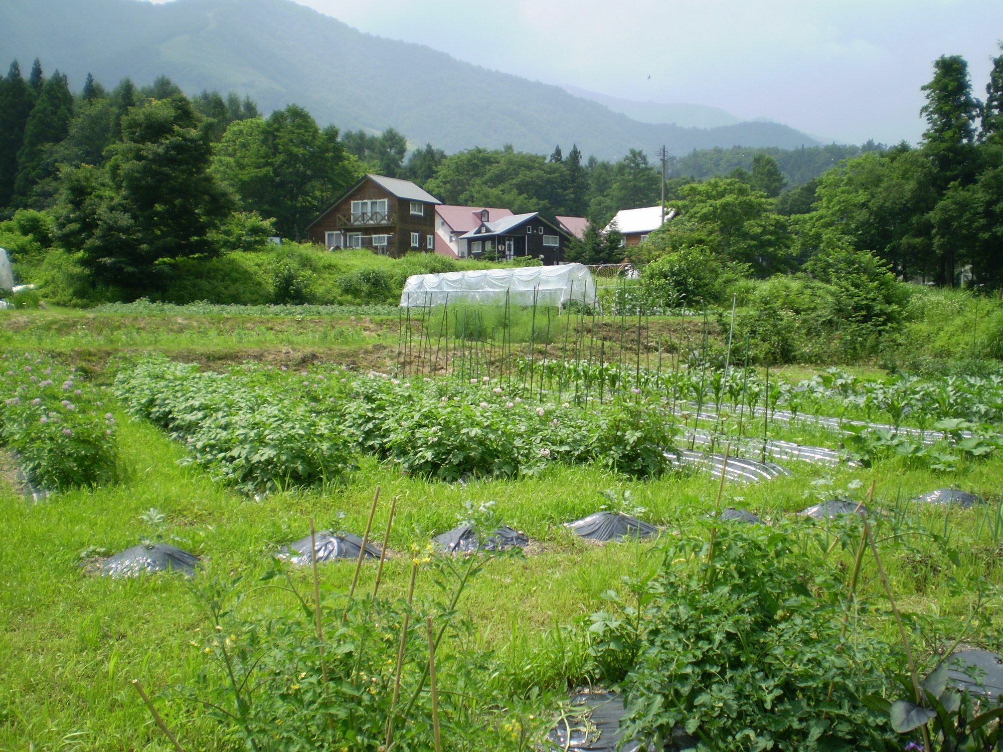 ペンション ちゃうちゃう Bed & Breakfast Hakuba Ngoại thất bức ảnh